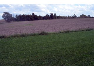 Property photo 81 - EHLE FARMS AUCTION - 118+/- ACRES IN 9 TRACTS IN ALLEN COUNTY, INDIANA